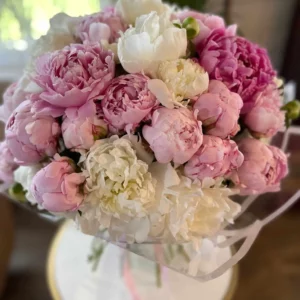 Dreamy pink peonies