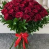 Classic red roses