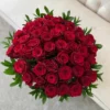 Classic red roses