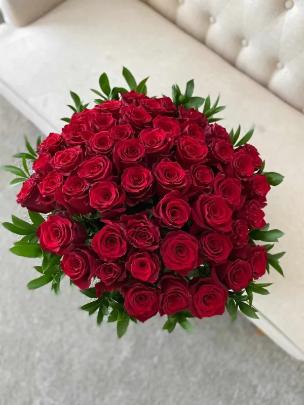 Classic red roses