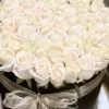 White roses