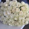 White roses