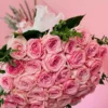 pink roses