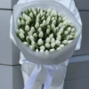 A woman gracefully holds a bouquet of fresh white tulips, showcasing their elegant beauty and simplicity.