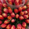 A vibrant bouquet of red and pink tulips elegantly tied with a stylish zebra print ribbon, showcasing a striking floral arrangement.